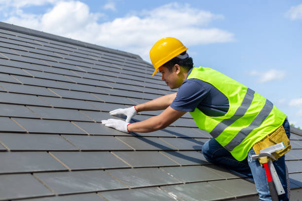 Best Roof Gutter Cleaning  in Middlebush, NJ