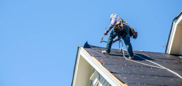 Roof Gutter Cleaning in Middlebush, NJ